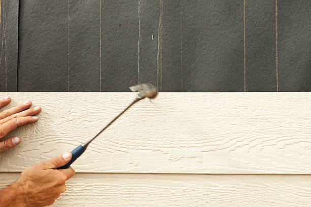 Best Engineered Wood Siding  in Kennett, MO